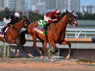 Dornoch wins The Fountain of Youth at Gulfstream Park