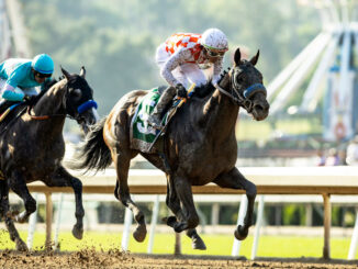 Mr Fisk was too strong for pacesetting stablemate Reincarnate in the Hollywood Gold Cup