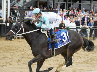 Super Chow wins the Maryland Sprint S. at Pimlico