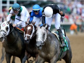Seize the Grey winning the Pat Day Mile (G2) at Churchill Downs (Photo by Horsephotos.com)