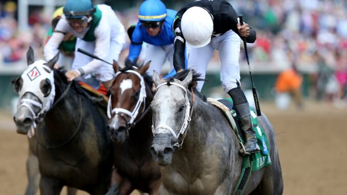 Seize the Grey winning the Pat Day Mile (G2) at Churchill Downs (Photo by Horsephotos.com)